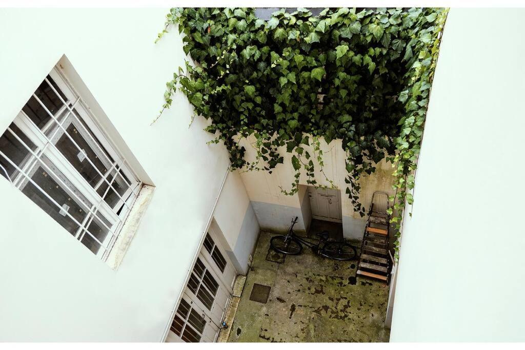 Apartmán T 2 Calme&Douceur Tarbes Exteriér fotografie